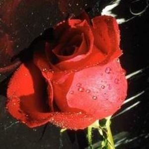 Meet your Posher, Leona